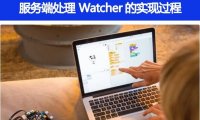 服务端处理 Watcher 的实现过程