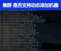 集群支持动态添加机器吗