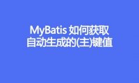 MyBatis 如何获取自动生成的(主)键值