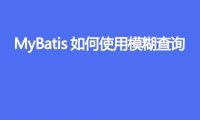 用 MyBatis 如何使用模糊查询