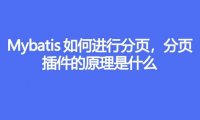 Mybatis 是如何进行分页的?分页插件的原理是什么?