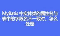 MyBatis 中实体类的属性名与表中的字段名不一致时,怎么处理