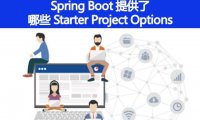 Spring Boot 还提供了其它的哪些 Starter Project Options