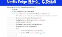什么是 Netﬂix Feign？它的优点是什么