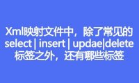Xml映射文件中,除了常见的select|insert|updae|delete标签之外,还有哪些标签