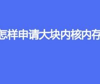 怎样申请大块内核内存