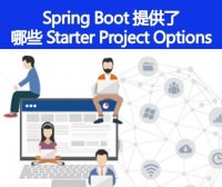Spring Boot 还提供了其它的哪些 Starter Project Options