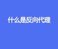 什么是反向代理