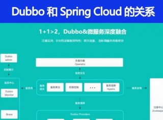 Dubbo 和 Spring Cloud 的关系