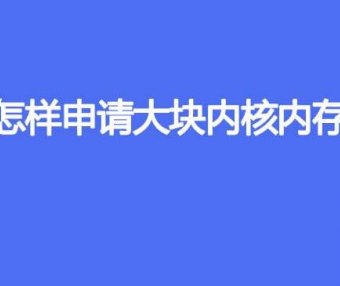 怎样申请大块内核内存
