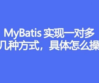 MyBatis 实现一对多有几种方式，具体怎么操作