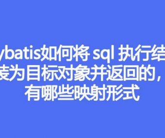 Mybatis 是如何将 sql 执行结果封装为目标对象并返回的，都有哪些映射形式