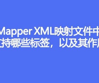 Mapper XML 映射文件中支持哪些标签,作用分别是什么