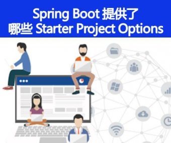 Spring Boot 还提供了其它的哪些 Starter Project Options