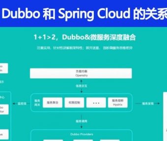 Dubbo 和 Spring Cloud 的关系