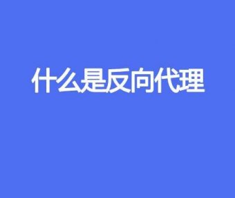 什么是反向代理