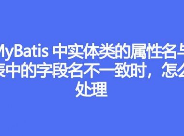 MyBatis 中实体类的属性名与表中的字段名不一致时,怎么处理