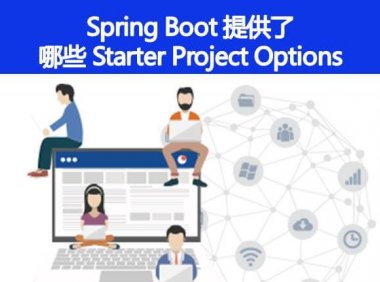 Spring Boot 还提供了其它的哪些 Starter Project Options