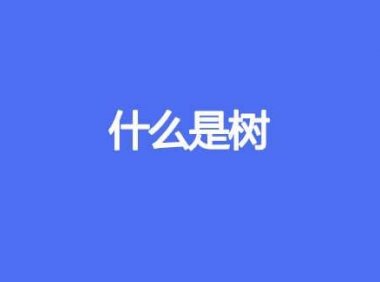 什么是树