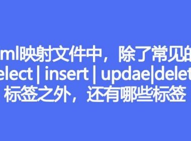 Xml映射文件中,除了常见的select|insert|updae|delete标签之外,还有哪些标签