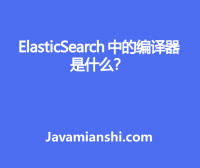 ElasticSearch 中的编译器是什么？