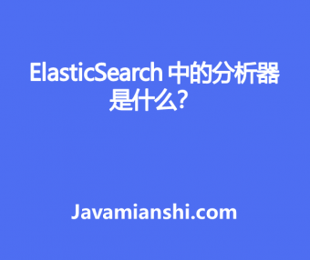 ElasticSearch 中的分析器是什么？