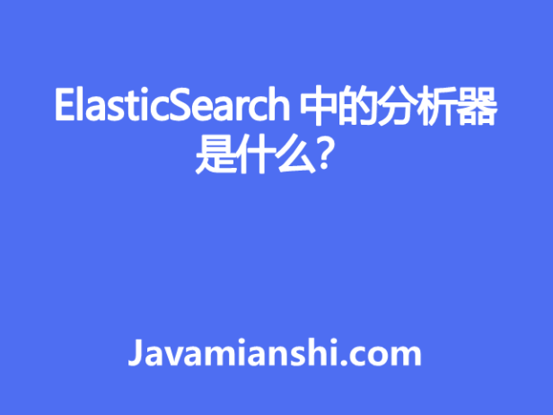 ElasticSearch 中的分析器是什么？